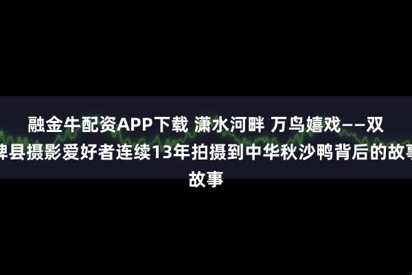 融金牛配资APP下载 潇水河畔 万鸟嬉戏——双牌县摄影爱好者连续13年拍摄到中华秋沙鸭背后的故事