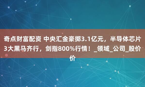 奇点财富配资 中央汇金豪掷3.1亿元，半导体芯片3大黑马齐行，剑指800%行情！_领域_公司_股价