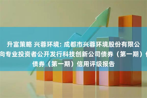 升富策略 兴蓉环境: 成都市兴蓉环境股份有限公司2025年面向专业投资者公开发行科技创新公司债券（第一期）信用评级报告